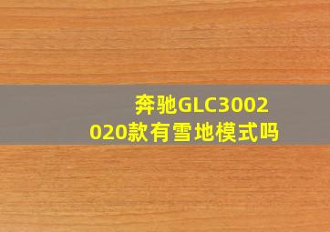 奔驰GLC3002020款有雪地模式吗