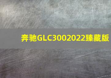 奔驰GLC3002022臻藏版