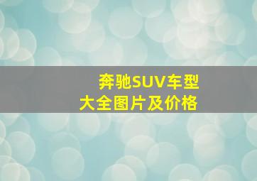 奔驰SUV车型大全图片及价格