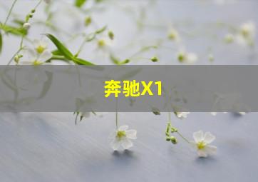 奔驰X1