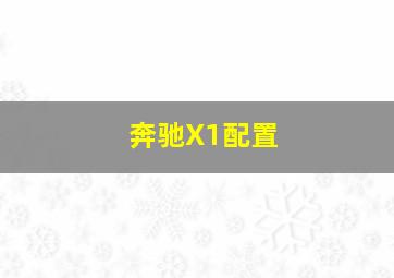 奔驰X1配置