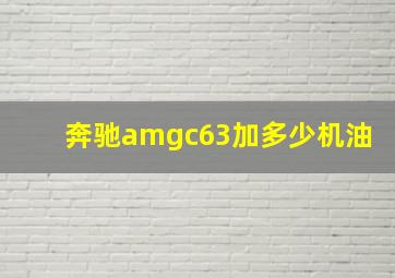 奔驰amgc63加多少机油