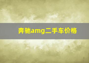 奔驰amg二手车价格