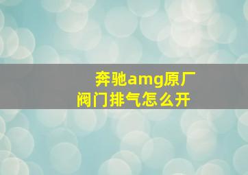 奔驰amg原厂阀门排气怎么开