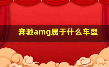 奔驰amg属于什么车型