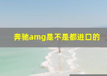 奔驰amg是不是都进口的