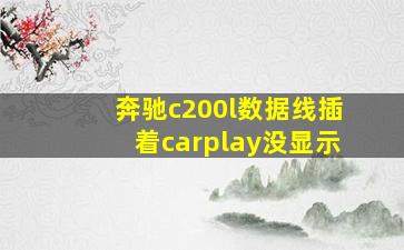 奔驰c200l数据线插着carplay没显示