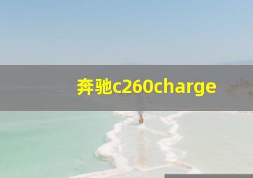 奔驰c260charge