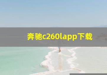 奔驰c260lapp下载