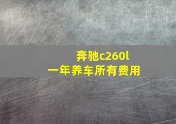 奔驰c260l一年养车所有费用