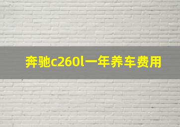 奔驰c260l一年养车费用