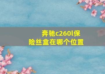 奔驰c260l保险丝盒在哪个位置