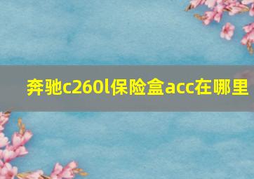 奔驰c260l保险盒acc在哪里