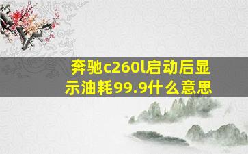 奔驰c260l启动后显示油耗99.9什么意思