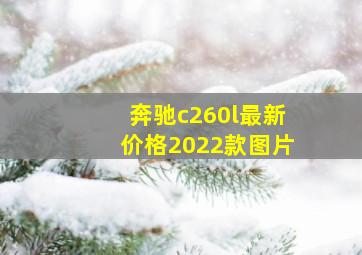 奔驰c260l最新价格2022款图片