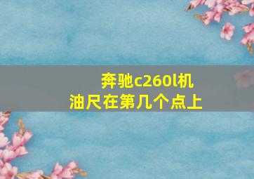 奔驰c260l机油尺在第几个点上