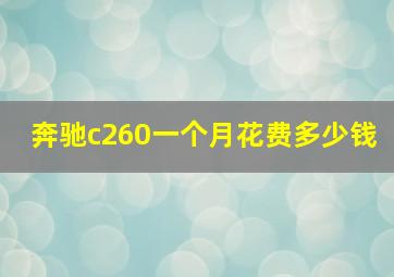 奔驰c260一个月花费多少钱