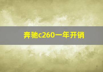 奔驰c260一年开销