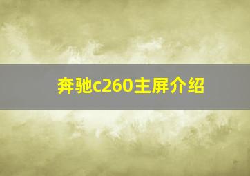 奔驰c260主屏介绍