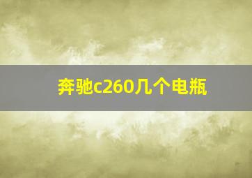 奔驰c260几个电瓶