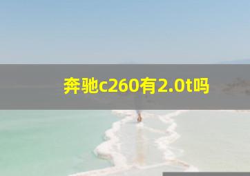 奔驰c260有2.0t吗