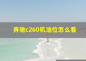 奔驰c260机油位怎么看