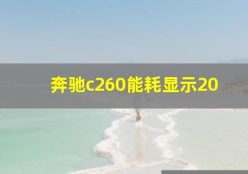 奔驰c260能耗显示20