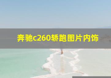 奔驰c260轿跑图片内饰