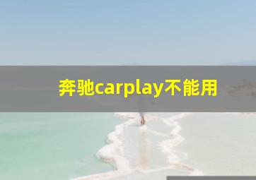 奔驰carplay不能用