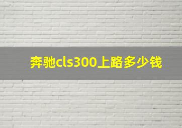 奔驰cls300上路多少钱