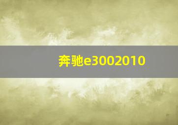 奔驰e3002010