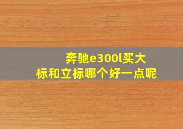 奔驰e300l买大标和立标哪个好一点呢