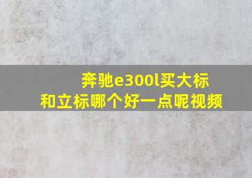 奔驰e300l买大标和立标哪个好一点呢视频