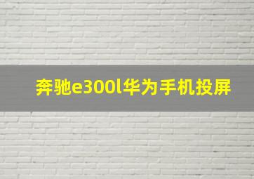 奔驰e300l华为手机投屏