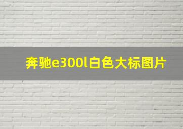 奔驰e300l白色大标图片