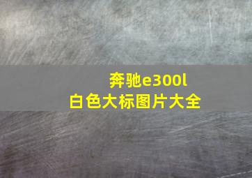 奔驰e300l白色大标图片大全