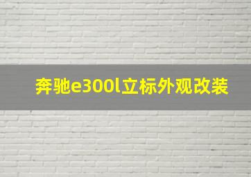 奔驰e300l立标外观改装