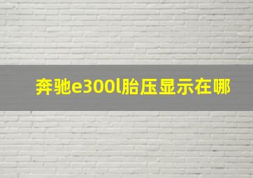 奔驰e300l胎压显示在哪