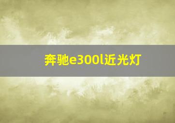 奔驰e300l近光灯