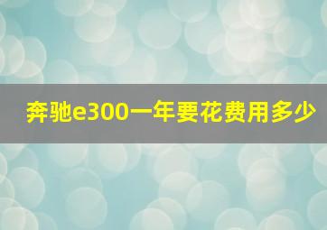 奔驰e300一年要花费用多少