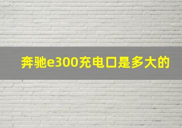 奔驰e300充电口是多大的