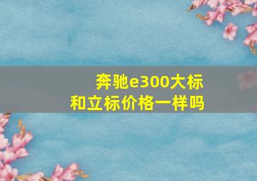 奔驰e300大标和立标价格一样吗