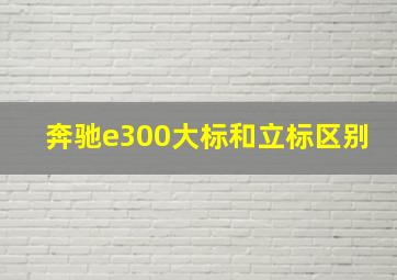 奔驰e300大标和立标区别