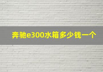 奔驰e300水箱多少钱一个