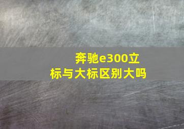 奔驰e300立标与大标区别大吗