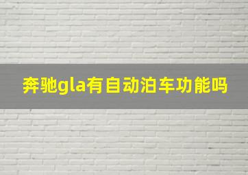 奔驰gla有自动泊车功能吗