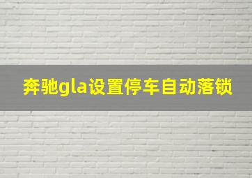 奔驰gla设置停车自动落锁