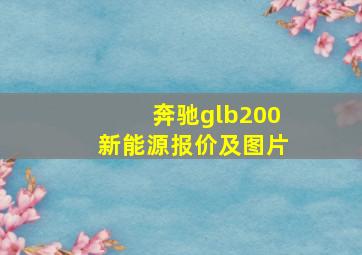 奔驰glb200新能源报价及图片