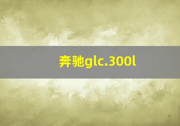 奔驰glc.300l