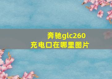 奔驰glc260充电口在哪里图片